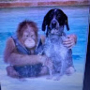 Meet your Posher, Aiden